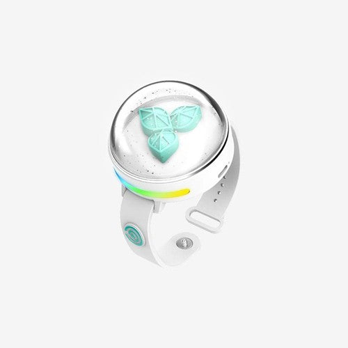 DAY6 Official Light Band Ver.3