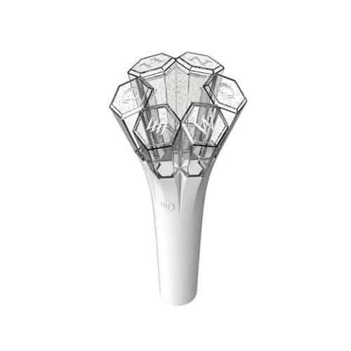 Wonho Official Light Stick