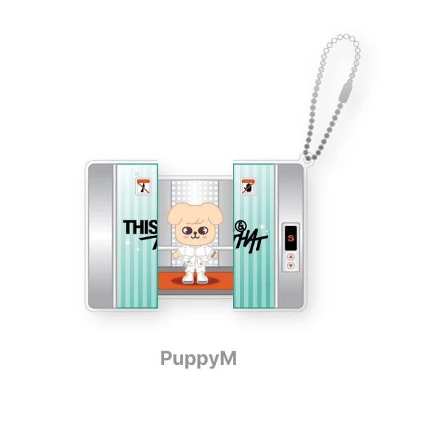 [2ND WEEK POB] SKZOO CAPSULE ACRYLIC KEYRING Stray Kids THIS & THAT MD