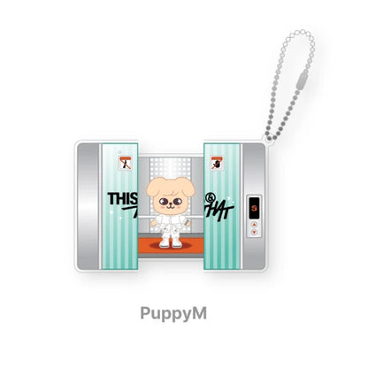 [2ND WEEK POB] SKZOO CAPSULE ACRYLIC KEYRING Stray Kids THIS & THAT MD