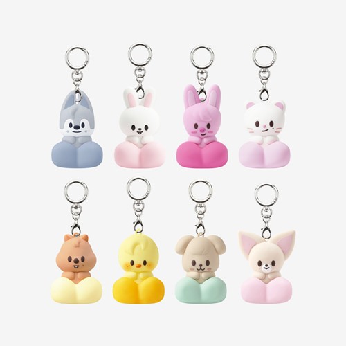 SKZOO SECRET CLICKER KEYRING Stray Kids World Tour RUN IT MD